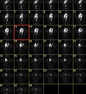 Draft Samper 526155048-image53.jpeg