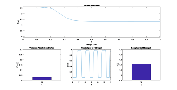 Draft Alvarez 308216271-image4.png