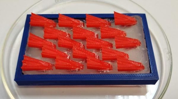 Draft Compuestos 645518021-image11-c.jpg