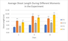 Review 855074334749-image5-c.png