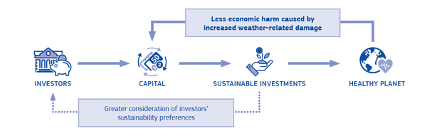 Calleja Crespo 2018a-image7-c.png