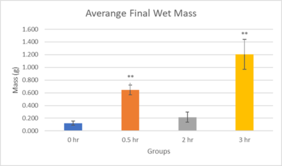 Review 855074334749-image14-c.png