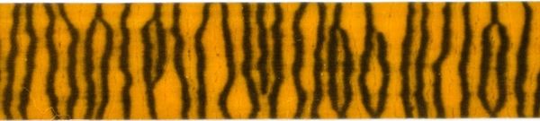 Cantera et al 2019a-image9-c.jpeg