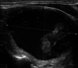 Draft Xu 795668614-image7.png