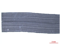 Draft Avila 364400906-image9.png