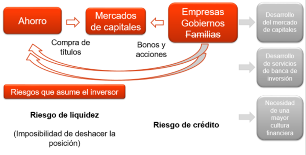 Draft Domingo 329888257-image2.png