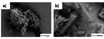 Draft Fenollar Gimeno 191493541-image6.png
