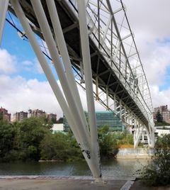 Draft Samper 899487275-image2.jpeg