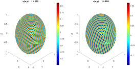 Concentrations at t = 0 and t=600.