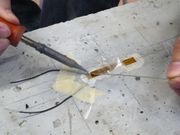 Draft Samper 457984204-image191.jpeg