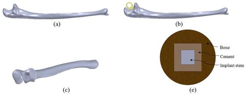 Review 392361619556 2394 10.jpg