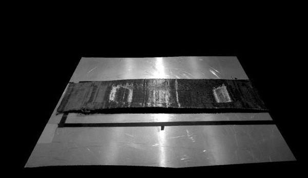 Alberdi et al 2021a-image7.jpeg