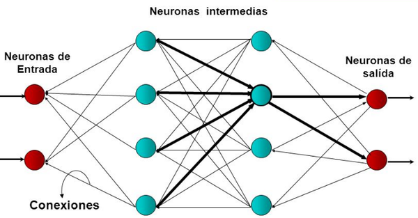 Draft CORZ 317697134-image6.png