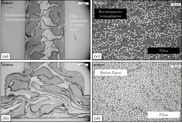 Draft Murillo 796505002-image5.png