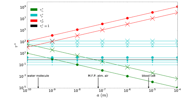Time scales of Brownian motion normalized by the viscous diffusion time for the same combinations considered in Table 1. Dots indicate water as the suspending fluid, while crosses imply air. The size of the markers grows with the density of the particles.