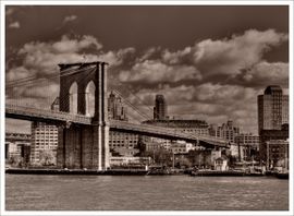 Draft Samper 432909089-monograph-image8.jpeg