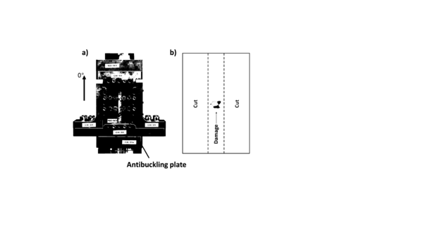 Garcia-Rodriguez et al 2017a-image5-c.png