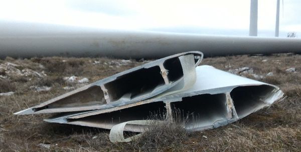 Pesquera Verdugo 2022a-image5-c.jpeg