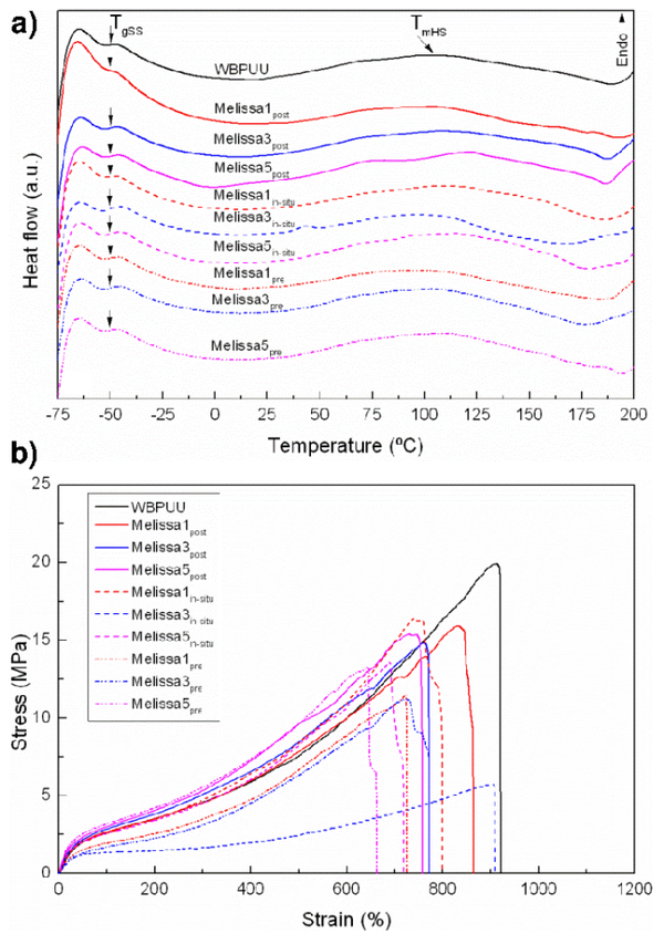 Santamaria-Echart et al 2019a-image6.png