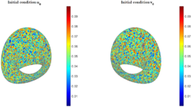 Draft Gonzalez Mena 552017544-BVAM Ciclido t0.png