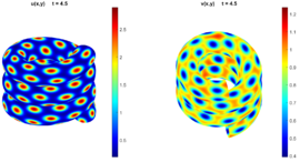 Concentrations at t = 0 and t = 4..
