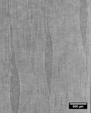 Delgado et al 2021a-image9.jpeg