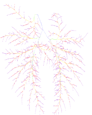 Draft Samper 526155048-image62-c.png