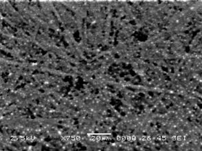 Valea et al 2019b-image7.jpeg