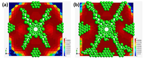 Damage zone and cracks on the specimen at (a) 41  µs and (b) 82  µs.