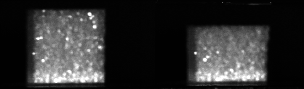 Draft Compuestos 476094261-image11.png