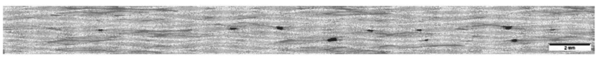 Ultrera et al 2017a-image19.png