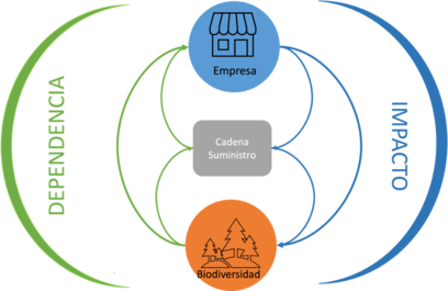 Draft Ayuso 749341545-image1.png