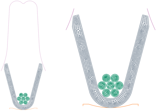 Malha  gerada do processo de crimpagem.