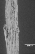 Haldar et al 2020a 6188 test-image1-c.png