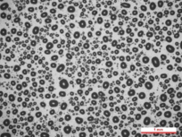 Review 950121520459-image14.png