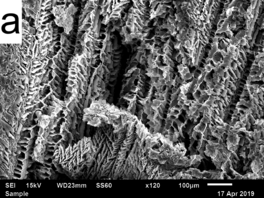 Draft Compuestos 234726039-image8.png