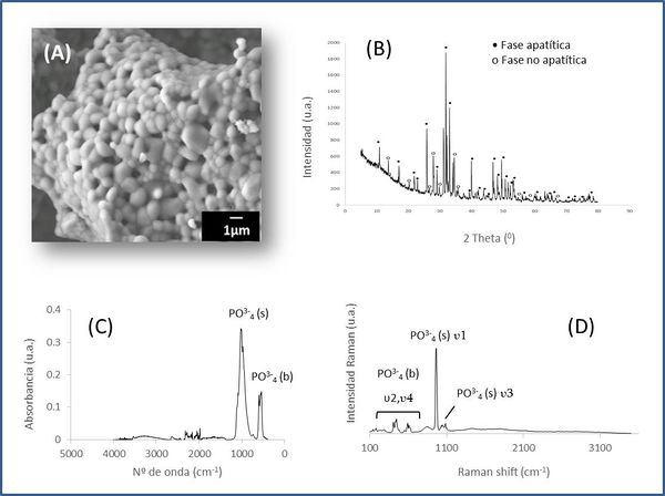 Draft Compuestos 459489042-image5.jpg