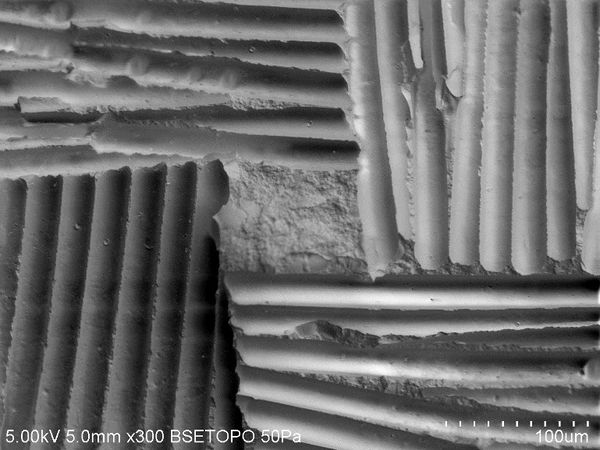 Botana-Galvin et al 2019a-image11.jpeg