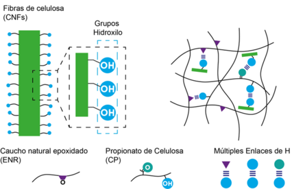 Draft Hernandez Santana 504976327-image4.png