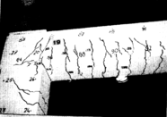 Draft Samper 511491986-image115.png