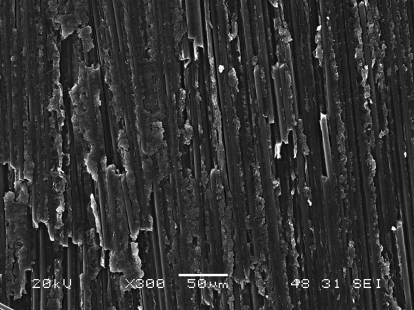 Olay et al 2021a-image12.png