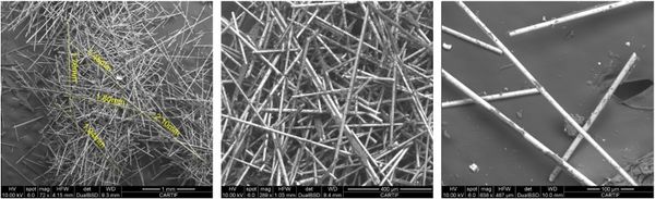 Pesquera Verdugo 2022a-image16.jpeg