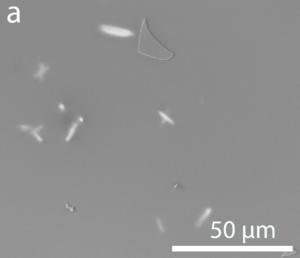 Draft Cuesta Collada 539330718-image3-c.png