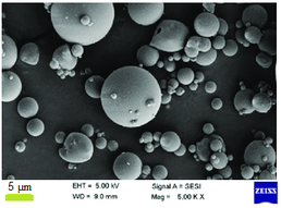 Review 649842671165-image4.png