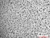 Review 950121520459-image16.png