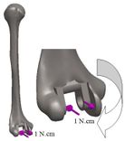 Review 392361619556-image40.jpeg