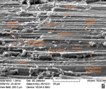 Review 824132888298-image61.png