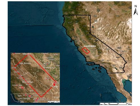 Draft Malik 640209271-image1-c.jpeg