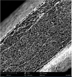 Franco et al 2022a-image10.jpeg