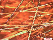 Draft Garcia 400677570-image10.jpeg